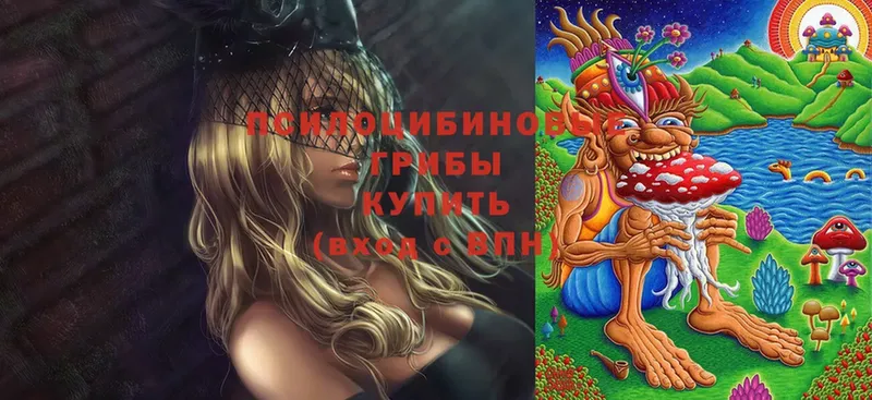 как найти   Верхняя Пышма  Галлюциногенные грибы GOLDEN TEACHER 